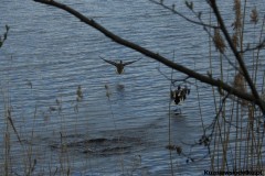 Kuznia-w-Siodelku-Spacer-do-Stawu-Sangow-24