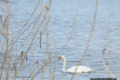 Kuznia-w-Siodelku-Spacer-do-Stawu-Sangow-25