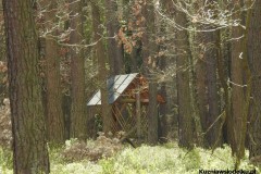 Kuznia-w-Siodelku-Spacer-do-Stawu-Sangow-3