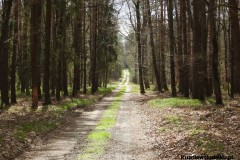 Kuznia-w-Siodelku-Spacer-do-Stawu-Sangow-6