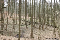 1_Kuznia-w-siodelku-Szwajcaria-Rachowicka-12