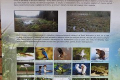 1_Kuznia-w-siodelku-Szwajcaria-Rachowicka-14