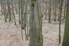 1_Kuznia-w-siodelku-Szwajcaria-Rachowicka-18