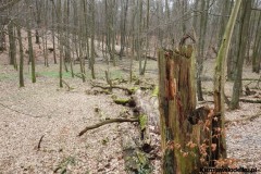 1_Kuznia-w-siodelku-Szwajcaria-Rachowicka-19