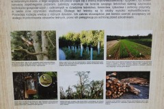 1_Kuznia-w-siodelku-Szwajcaria-Rachowicka-20