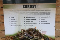 1_Kuznia-w-siodelku-Szwajcaria-Rachowicka-22