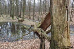 1_Kuznia-w-siodelku-Szwajcaria-Rachowicka-24