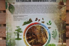 1_Kuznia-w-siodelku-Szwajcaria-Rachowicka-4