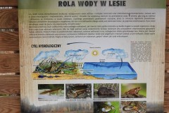 1_Kuznia-w-siodelku-Szwajcaria-Rachowicka-9