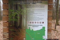 Kuznia-w-siodelku-Szwajcaria-Rachowicka-2