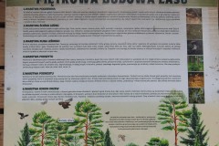Kuznia-w-siodelku-Szwajcaria-Rachowicka-26