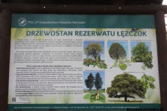 Kuznia-w-siodelku-Rezerwat-przyrody-Lezczok-Grudzien-18