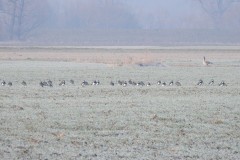 Kuznia-w-Siodelku-Podroze-male-i-duze-Turze-13