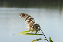 Kuznia-w-Siodelku-Wielikat-Jesienia-4