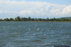 Kuznia-w-siodelku-Wielikat-wiosna-12