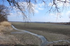 Kuznia-w-siodelku-Wielikat-wiosna-10