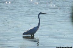 Kuznia-w-siodelku-Wielikat-10