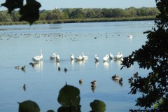 Kuznia-w-siodelku-Wielikat-12