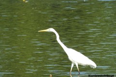 Kuznia-w-siodelku-Wielikat-14