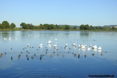 Kuznia-w-siodelku-Wielikat-15