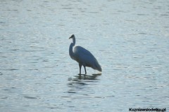 Kuznia-w-siodelku-Wielikat-16