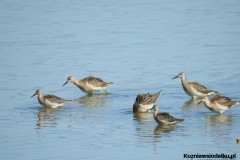 Kuznia-w-siodelku-Wielikat-17