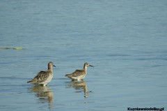 Kuznia-w-siodelku-Wielikat-18