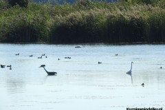 Kuznia-w-siodelku-Wielikat-2