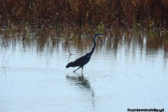 Kuznia-w-siodelku-Wielikat-20