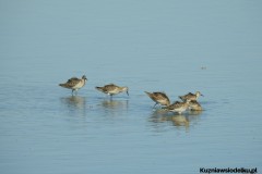 Kuznia-w-siodelku-Wielikat-21