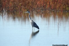 Kuznia-w-siodelku-Wielikat-22