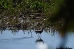 Kuznia-w-siodelku-Wielikat-23