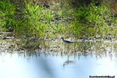 Kuznia-w-siodelku-Wielikat-24