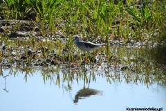 Kuznia-w-siodelku-Wielikat-25