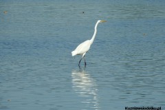 Kuznia-w-siodelku-Wielikat-27