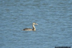 Kuznia-w-siodelku-Wielikat-29