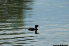 Kuznia-w-siodelku-Wielikat-30