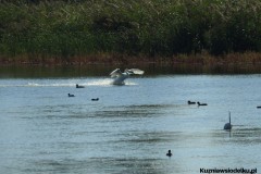 Kuznia-w-siodelku-Wielikat-4