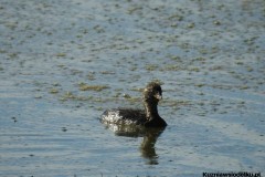 Kuznia-w-siodelku-Wielikat-5