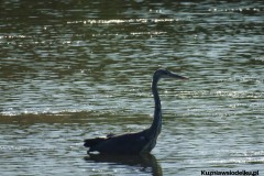 Kuznia-w-siodelku-Wielikat-8