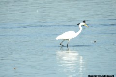 Kuznia-w-siodelku-Wielikat-9