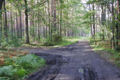 Kuznia-w-Siodelku-Trasa-rowerowa-Wokol-Turawy-38