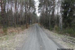Kuznia-w-Siodelku-Zwiedzanie-Opolszczyzny-Wydmy-w-Kosowcu-16