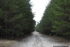 Kuznia-w-Siodelku-Zwiedzanie-Opolszczyzny-Wydmy-w-Kosowcu-3