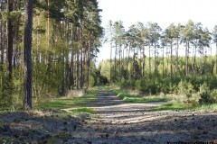 Kuznia-w-Siodelku-Wydmy-Kosorowice-z-Chylka-1