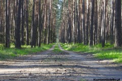 Kuznia-w-Siodelku-Wydmy-Kosorowice-z-Chylka-10