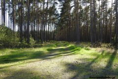 Kuznia-w-Siodelku-Wydmy-Kosorowice-z-Chylka-3