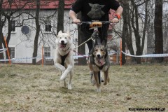 Kuznia-w-siodelku-Wyscigi-psich-zaprzegow-13