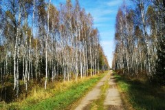 Kuznia-w-siodelku-Trasa-rowerowa-wzdluz-jeziorek-11