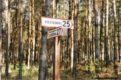 Kuznia-w-siodelku-Trasa-rowerowa-wzdluz-jeziorek-13